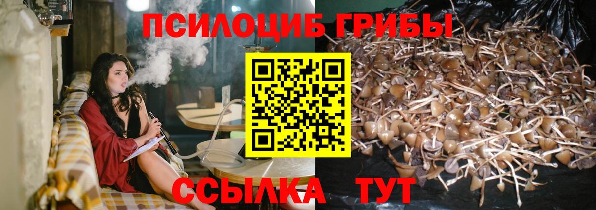 Псилоцибиновые грибы ЛСД Королёв